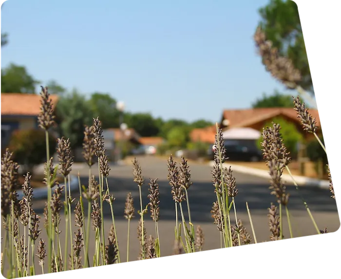Photo de l'entrée du village