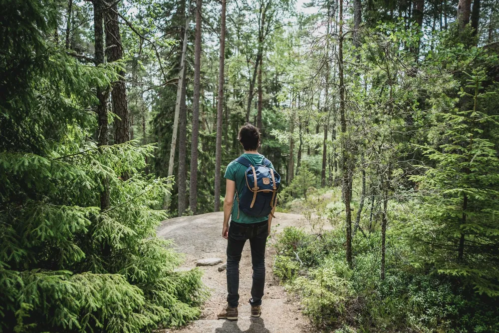 Randonneur sur un sentier en forêt de pins
