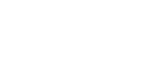 village_Logo_white